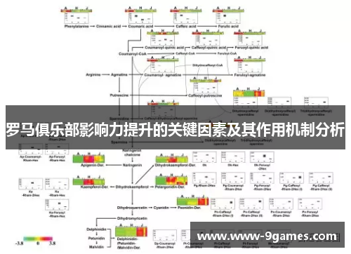 罗马俱乐部影响力提升的关键因素及其作用机制分析
