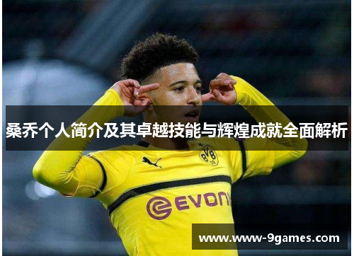 桑乔个人简介及其卓越技能与辉煌成就全面解析