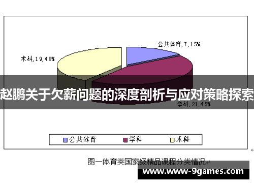 赵鹏关于欠薪问题的深度剖析与应对策略探索