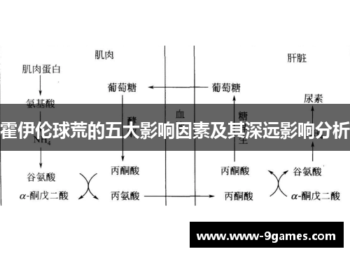 霍伊伦球荒的五大影响因素及其深远影响分析