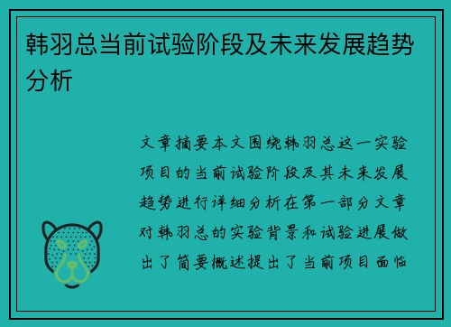 韩羽总当前试验阶段及未来发展趋势分析