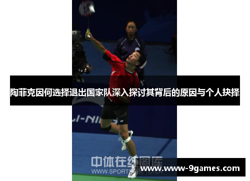 陶菲克因何选择退出国家队深入探讨其背后的原因与个人抉择